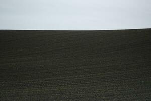 geploegd veld- in de ochtend- foto