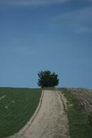 weg in de bergen en platteland foto