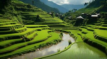 cultiveren schoonheid. terrassen technieken in rijst- landbouw. generatief ai foto