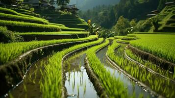 terrasvormig rijst- velden creëren een landschap wonder. generatief ai foto