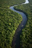 antenne visie van de amazonas oerwoud landschap met rivier- kromming. generatief ai foto