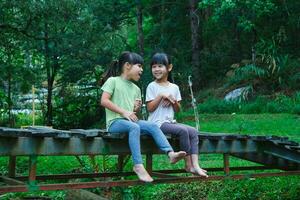 schattig Aziatisch meisjes zittend samen Aan houten brug. twee gelukkig jong schattig meisjes zijn hebben pret buitenshuis. Aziatisch broers en zussen spelen in de tuin. foto