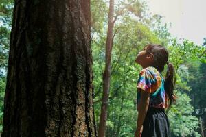 de weinig meisje keek omhoog liefdevol Bij de oud groot boom in de Woud. groen milieuvriendelijk vriendelijk levensstijl. liefde en beschermen natuur concept. foto
