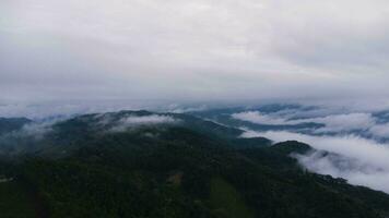 antenne visie van tropisch Woud met de nevel in de ochtend. top visie van dar van mooi berg tropisch Woud gedurende winter in Thailand. natuurlijk landschap achtergrond. foto