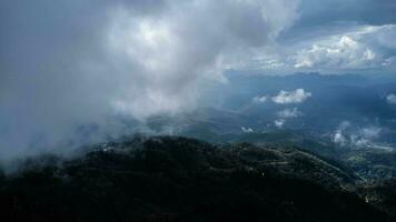 antenne visie van tropisch Woud met de nevel in de ochtend. top visie van dar van mooi berg tropisch Woud gedurende winter in Thailand. natuurlijk landschap achtergrond. foto