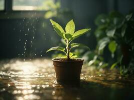 een jong fabriek in een pot staand onder stralen van water in een serre. klein bloem, bloem groeien, tuinieren, natuur dag, aarde dag. ai generatief foto