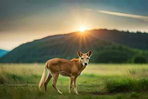 een jong hert staat in de gras Bij zonsondergang. ai-gegenereerd foto