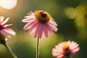 roze bloemen in de zon met een wazig achtergrond. ai-gegenereerd foto