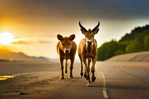 twee bruin koeien wandelen naar beneden de weg Bij zonsondergang. ai-gegenereerd foto