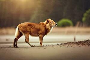 een hond staand Aan de strand in de zon. ai-gegenereerd foto