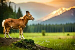 een paard staand Aan een rots in de midden- van een veld. ai-gegenereerd foto