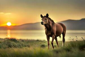 een paard is staand in de gras Bij zonsondergang. ai-gegenereerd foto