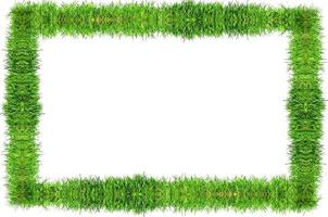 groen gras geïsoleerd op een witte achtergrond foto