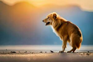 een hond staand Aan de strand Bij zonsondergang. ai-gegenereerd foto