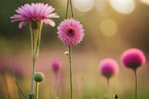 roze bloemen in een veld- met zon schijnt. ai-gegenereerd foto