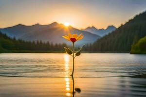 een single bloem is staand in de midden- van een meer Bij zonsondergang. ai-gegenereerd foto