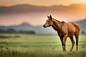 een paard is staand in de midden- van een veld. ai-gegenereerd foto