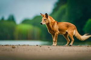 een hond staand Aan de strand in de buurt een meer. ai-gegenereerd foto