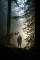 sasquatch silhouet gezien in dicht bos- Bij de breken van dageraad foto