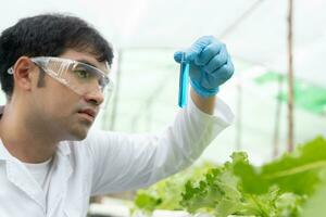 wetenschapper controleren chemisch voedsel residuen Aan buitenshuis. controle experts inspecteren kwaliteit van fruit, groenten. laboratorium, gevaren, rohs, vind verboden stoffen, besmetten, microscoop, microbioloog foto