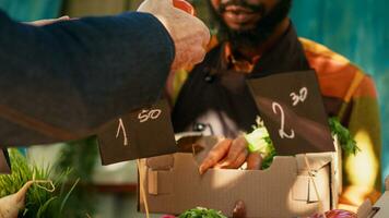 klant kiezen kleurrijk bio fruit en groenten naar kopen van lokaal boeren markt plaats, op zoek Bij natuurlijk plaatselijk gegroeid produceren. mensen buying biologisch groenten en producten. handheld schot. foto