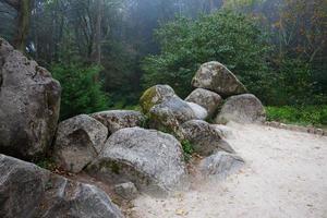 verschillende enorme rotsblokken liggen in het bos