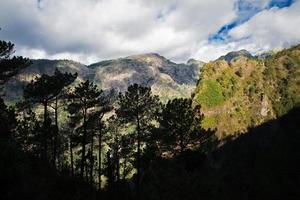 landschap met hoge bergen foto