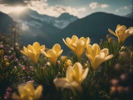 wit en geel krokussen in de land in de de lente. helder voorjaar bloemen. vers vreugdevol planten bloeide. ai-gegenereerd foto