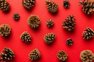 pijnboom kegels Aan gekleurde tafel. natuurlijk vakantie achtergrond met dennenappels gegroepeerd samen. vlak leggen. winter concept foto