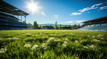 een voetbal stadion met een gazon veld- foto