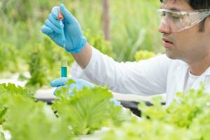 wetenschapper controleren chemisch voedsel residuen Aan buitenshuis. controle experts inspecteren kwaliteit van fruit, groenten. laboratorium, gevaren, rohs, vind verboden stoffen, besmetten, microscoop, microbioloog foto