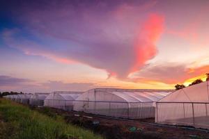 groen huis in boerderij bij prachtige zonsondergang foto