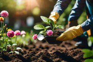 een persoon in tuinieren handschoenen is Holding een bloem pot. ai-gegenereerd foto