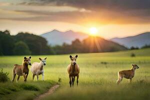 vier paarden zijn wandelen in een veld- Bij zonsondergang. ai-gegenereerd foto