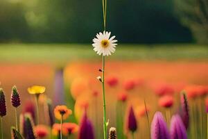 een single madeliefje is staand in een veld- van bloemen. ai-gegenereerd foto