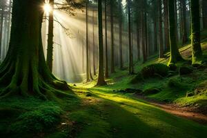 zonlicht schijnend door de bomen in een Woud. ai-gegenereerd foto