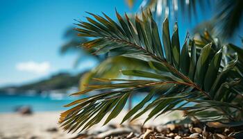 idyllisch tropisch kustlijn, palm boom, blauw water, groen plant, zanderig strand gegenereerd door ai foto