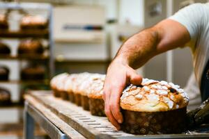 gebakje bakker ambachtelijk bakken klein groep van Italiaans panettone zoet brood typisch voor Kerstmis tijd foto