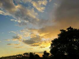 zonsondergang visie met gouden wolken en bossen in silhouet. foto