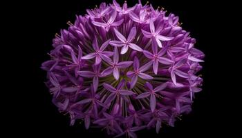 Purper bloem hoofd, dichtbij omhoog schoonheid in natuur, single bloem, roze kleur gegenereerd door ai foto