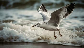 zeemeeuw vliegend buitenshuis, verspreiden Vleugels, vrijheid in natuur schoonheid gegenereerd door ai foto