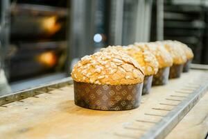 gebakje bakker ambachtelijk bakken klein groep van Italiaans panettone zoet brood typisch voor Kerstmis tijd foto