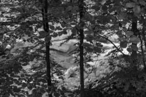 de oostenrijks Alpen in de buurt gosau foto