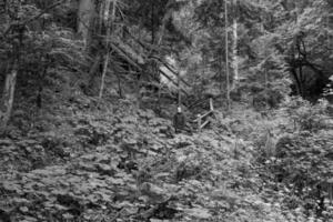 de oostenrijks Alpen in de buurt gosau foto