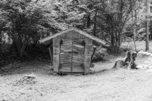 de oostenrijks Alpen in de buurt gosau foto