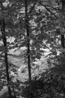 de oostenrijks Alpen in de buurt gosau foto