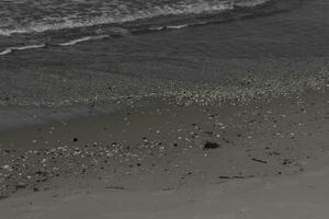 ik geliefde de kijken van de oceaan komt eraan in de strand hier. de zee schuim langzaam het wassen over- de mooi steentjes sommige van welke kijken Leuk vinden edelstenen en zijn doorzichtig allemaal heel glad van wezen tuimelde. foto