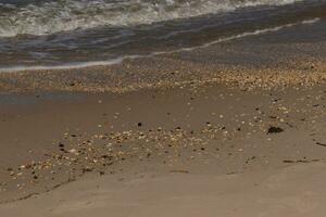 ik geliefde de kijken van de oceaan komt eraan in de strand hier. de zee schuim langzaam het wassen over- de mooi steentjes sommige van welke kijken Leuk vinden edelstenen en zijn doorzichtig allemaal heel glad van wezen tuimelde. foto