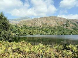 een visie van de noorden Wales platteland Bij llyn dinas in snowdonia foto