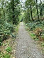 een visie van de noorden Wales platteland in de buurt llyn maw in snowdonia foto